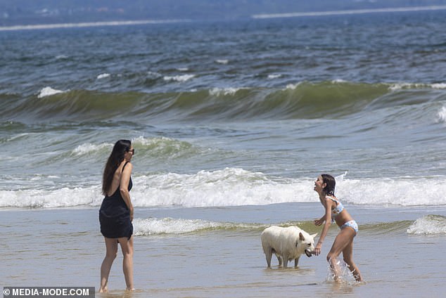 At one point, Erica was seen walking to the edge of the ocean and getting her feet wet