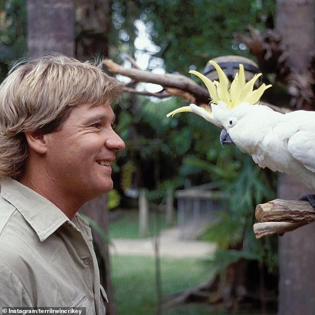 Steve died tragically when a stingray barb pierced his chest on September 4, 2006, while filming near Batt Reef, Queensland, in his native Australia.