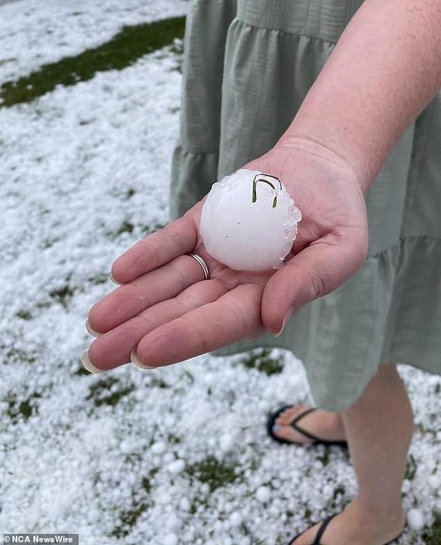 Residents of Grenfell in central NSW have been treated to a 'white Christmas' after being pelted with golf ball-sized hailstones (pictured)