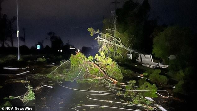 The storm caused severe damage to transmission infrastructure in South East Queensland