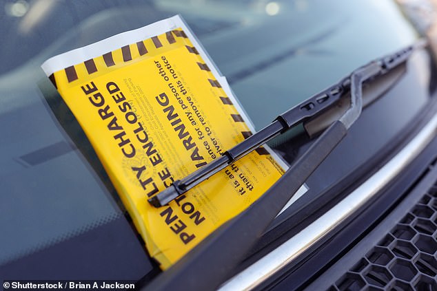 According to analysis by the PA news agency and the RAC Foundation, more than 3.3 million tickets were handed out between July and September (Stock Image)