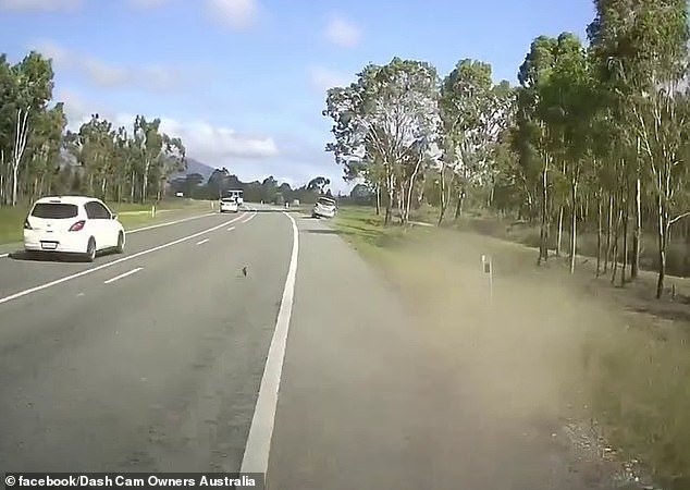 The family only managed to swerve for a few seconds before a driver traveling in the opposite direction collided with them (photo: the driver after the near-collision)