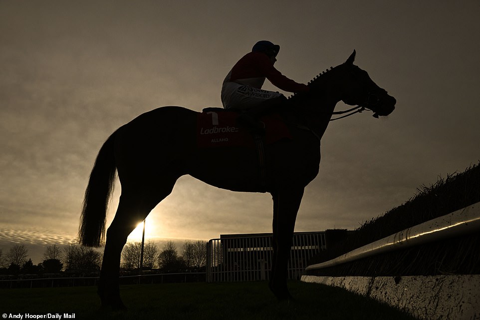 Willie Mullins-trained nine-year-old Allaho has had just one start in the past 20 months, at Clonmel in November this year