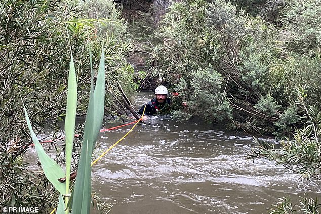 Five water police, two search and rescue members, local SES and police all converged to rescue the pair