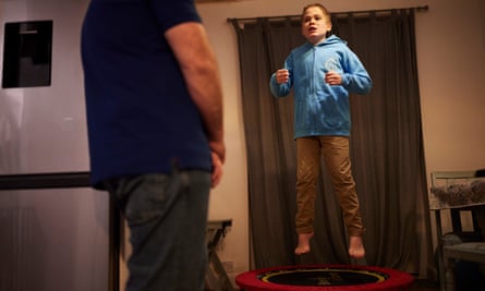 Harley jumps on a trampoline