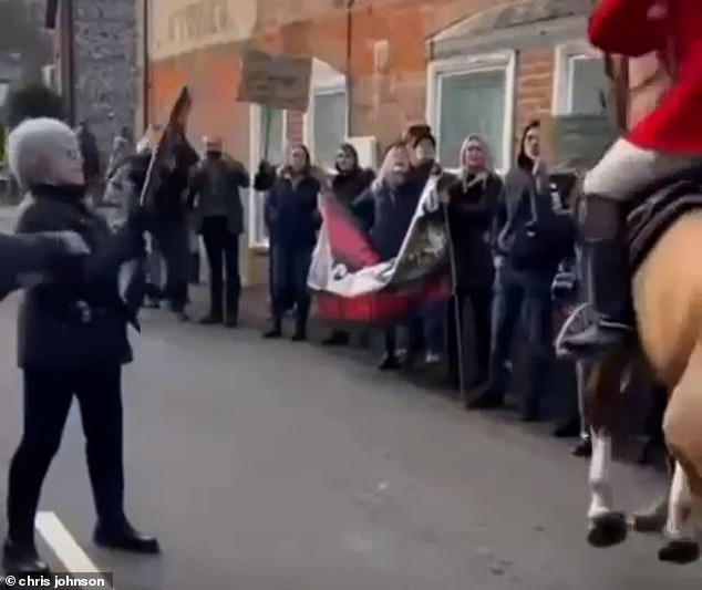 Although the square was 'full of people', Mr Coutts said it had been a 'calm, quiet and very pleasant atmosphere' before the saboteur tried to scare the horses.  The protester is pictured brandishing the sign she later used to hit the horses