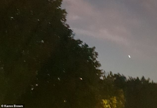 Pictures show the illuminated entity swaying above trees in the suburb of Heaton Mersey at night