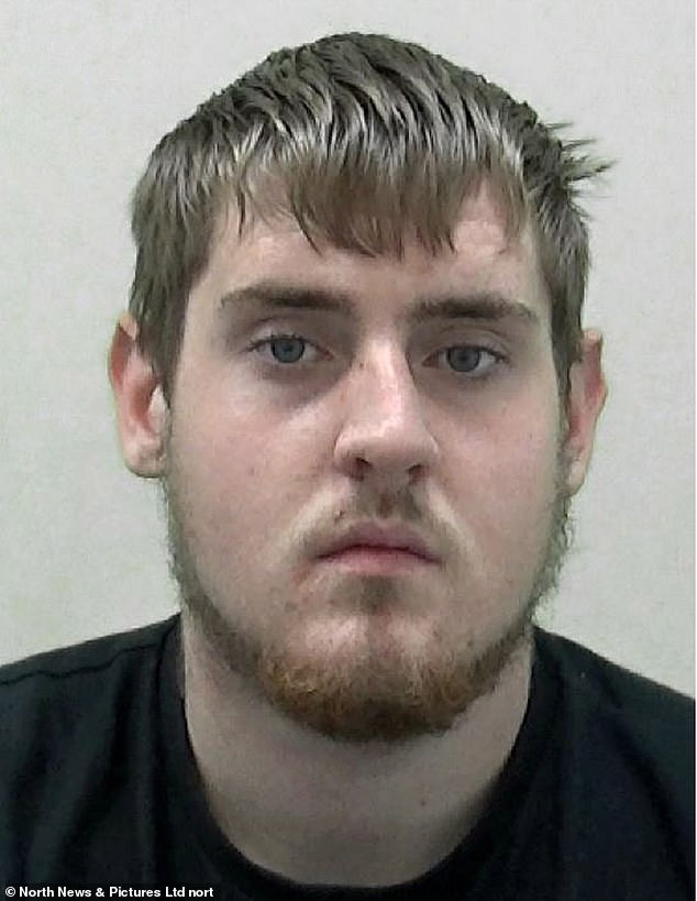 David Nicholson (pictured) was spared jail after pleading guilty to assault following the attack