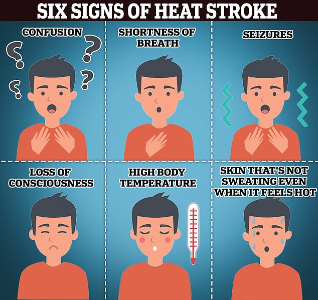 Heat exhaustion is the body's response to excessive loss of water and salt.  It can cause stress on the heart, which should compensate for a drop in blood pressure caused by dehydration and high internal temperatures