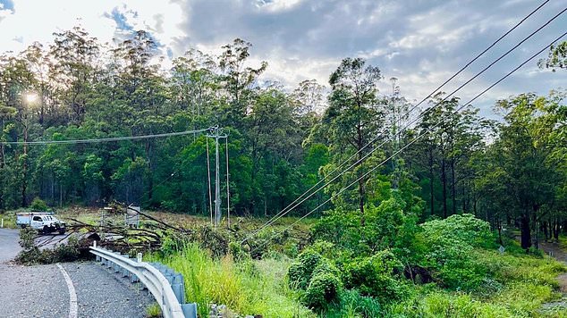 Pictured is some of the aftermath in south-east Queensland after a major storm hit the Gold Coast and Brisbane