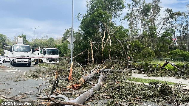 Pictured is some of the aftermath in south-east Queensland after a major storm hit the Gold Coast and Brisbane