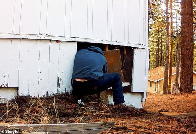 The environmentalist said he released the bear because it was in an occupied home, although he adopted a braver strategy than most