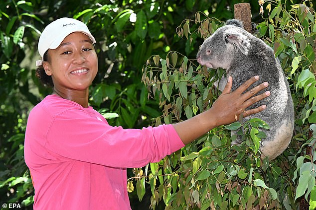 Naomi Osaka also returns to the Australian Open after the birth of her first child, pictured enjoying her time at Brisbane's Lone Pine Koala Sanctuary