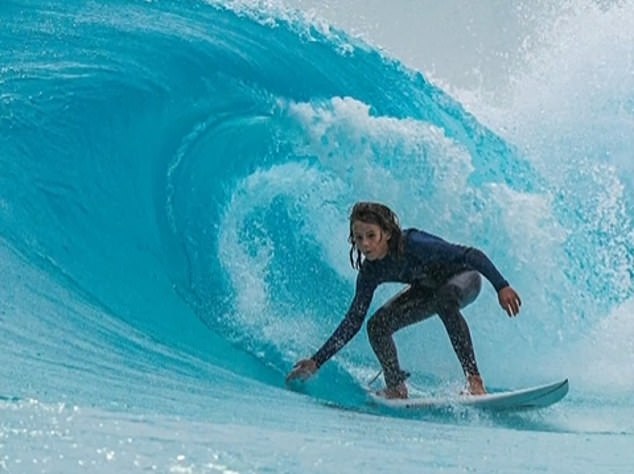 Emergency services were unable to save the 15-year-old (pictured) after first responders pulled him from the water following the shark attack