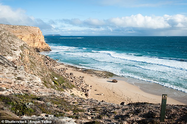 Locals said conditions were not ideal for surf at the time Khai was attacked by the animal, while a local skipper said he could not remember recent shark attacks on the beach