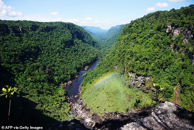 Guyana and Venezuela agreed earlier this month to avoid any use of force and not to escalate tensions in the long-running dispute.  Pictured Guyana (file photo)