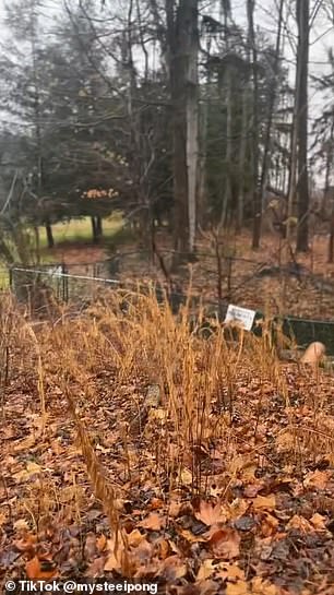 The pair discovered 'through the historic district' [that] there was actually a mill here and apparently part of it has been preserved'