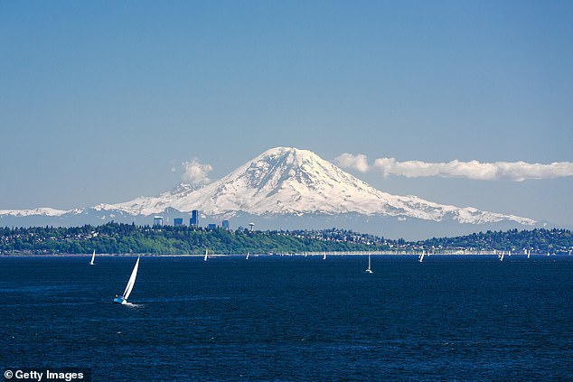 The calf, the newest member of the J-pod, was spotted in Puget Sound, located off the coast of northwest Washington