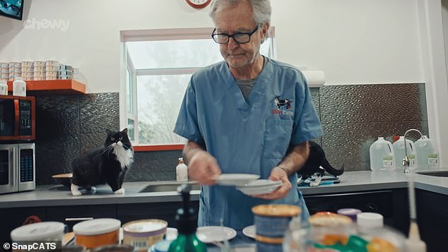 Roberts is seen in the cat kitchen preparing meals for his feline family