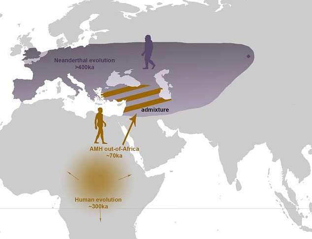 Moving northward, early uplift may have provided some benefits to ancient humans.  Shorter circadian rhythms appear to be beneficial for places where days are shorter