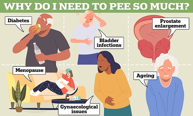 Most people – especially as they get older – have had to urinate more often than normal at some point.  However, it could be a sign of a problem such as diabetes, bladder infections and an enlarged prostate (shown in the image), says Dr Babak Ashrafi of Superdrug Online Doctor.