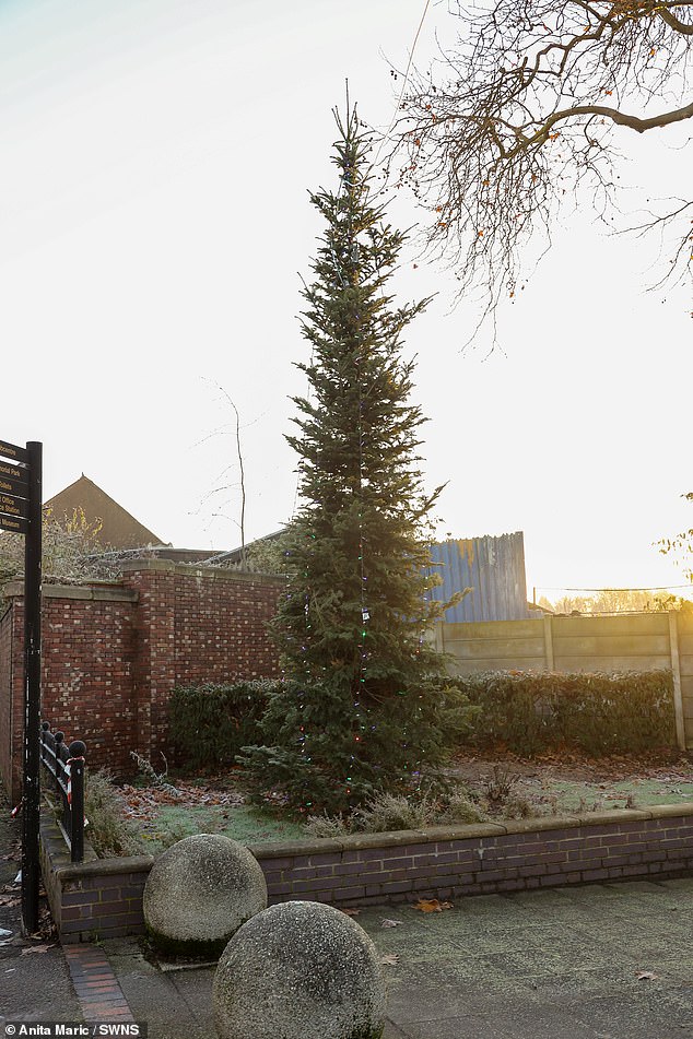 Locals in Willenhall, West Midlands, were furious at the festive atmosphere in their town after their Christmas tree looked gloomy under the decorations