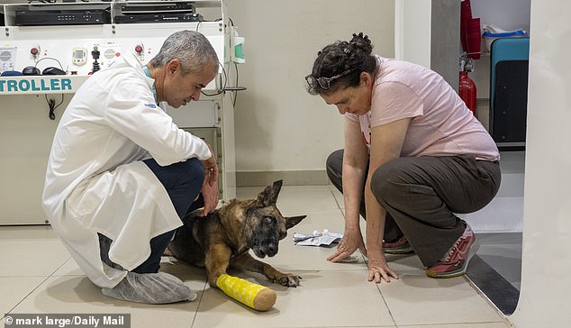 Professor Shai Efrati and veterinarian with Mikey after her treatment