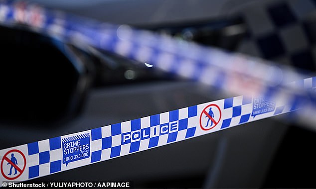 A man's body has been found in a car submerged under a river in the NSW Hunter Region (file photo)