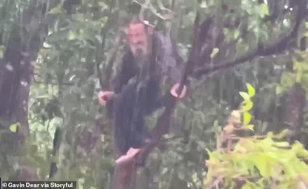 The man was seen clinging to branches high in a tree above the flooded Annan River (pictured)