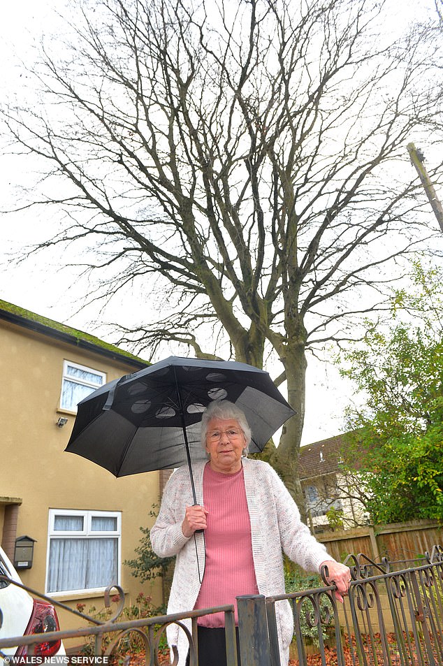 Pensioner Lynda Owen (pictured), 76, has had her home blacklisted by postal workers - and even has to give a giant golf umbrella to those who come to her house