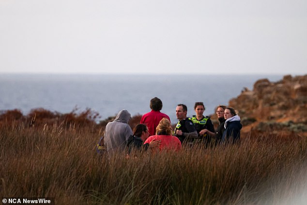 Authorities have resumed their search for a teenage boy who remains missing after falling from rocks at a blowhole in south-west Victoria.