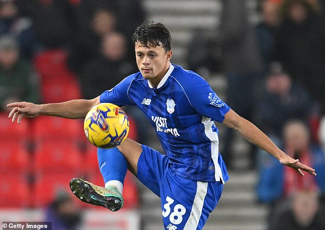 Cardiff defender Perry Ng was forced off in the defeat to Birmingham because he 'couldn't see'