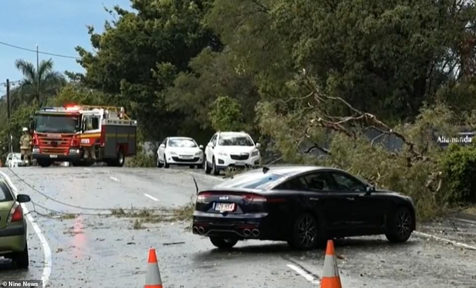 The driver had stopped to clear a tree branch from the road, but he had taken electrical lines with him