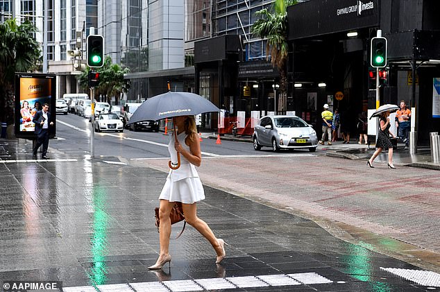 Australia's east coast is currently experiencing severe storms as tens of thousands of homes in Queensland lose power (stock image)