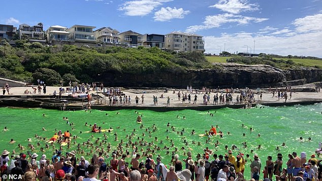 The waters at Clovelly Bay off Sydney's eastern suburbs turned green on Monday for Clovelly Surf Life Saving Club's Christmas pudding Egg Hunt