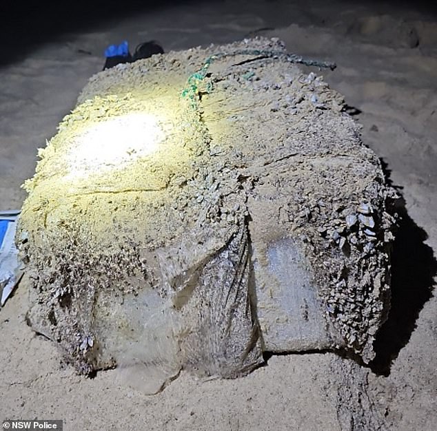 NSW residents have brazenly welcomed the arrival of blocks of cocaine washed up on beaches along the east coast