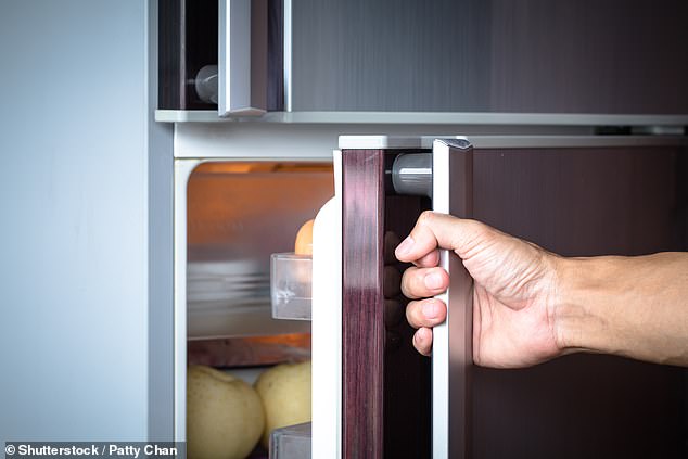 Refrigerator Fire: Can a reader demand that his refrigerator manufacturer pay for a new kitchen after his faulty appliance malfunctioned and caused a devastating fire?