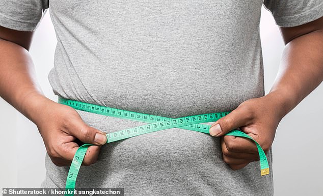 'Your fat metabolism also changes - the same study showed that staying in a cool room increased the amount of brown fat, which, unlike normal 'white' fat, burns a lot of calories' (File Image)