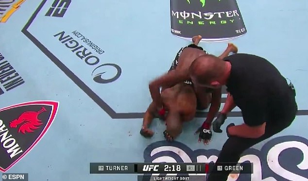 Jalin Turner punched Bobby Green for 12 seconds after he went down until referee Kerry Hatley stopped the fight