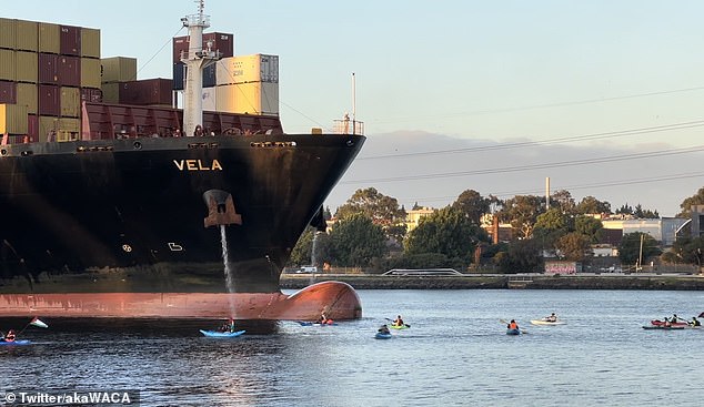 Pro-Palestinian protesters have tried to block an Israeli cargo ship from entering the Yarra River by paddling into its path.