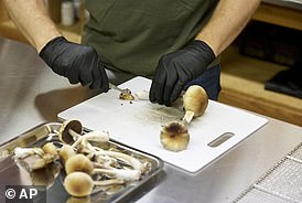 Doctors warn of surge in poisonings linked to MUSHROOMS