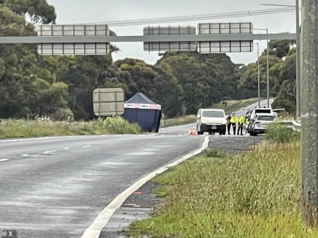 A 23-year-old man was fatally struck on Monday evening on the western highway near Truganina (in the photo the emergency services are on site)