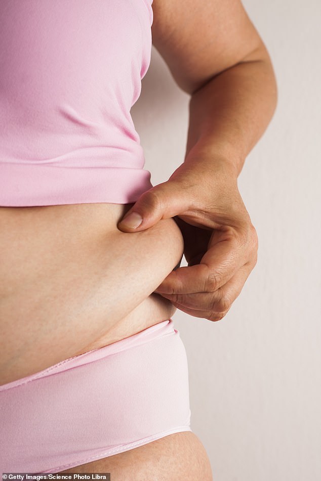 The researchers believe that eating more slowly gives the body a better ability to keep track of the amount of food consumed (stock photo)