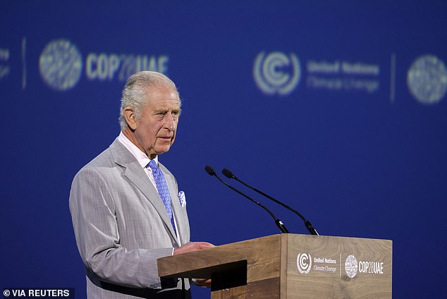 At last month's COP28 climate summit in Dubai (pictured), he told world leaders 'the earth is not ours' and warned that his grandchildren will have to live 'with the consequences of what we did or did not do'.