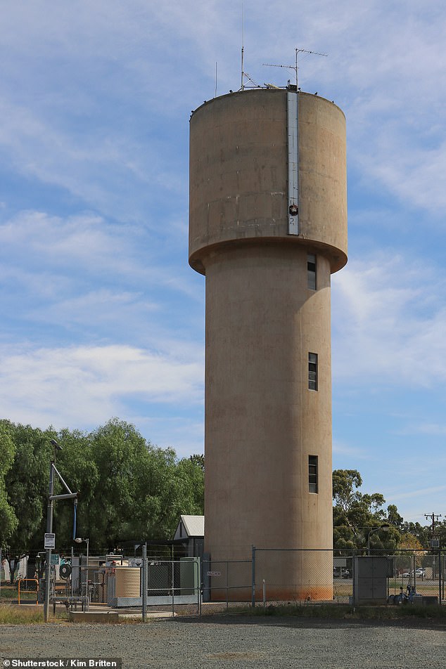 Coliban Water said it would be several days before the city's water network would be deemed safe for use (photo: Coliban Water's water tower in Elmore, Victoria).