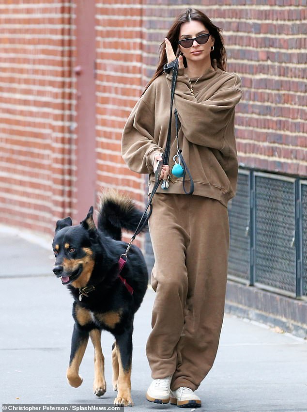 Emily Ratajkowski, 32, looked cozy in a brown velvet tracksuit as she took her Husky-German Shepherd mix for his constitutional morning Sunday in New York