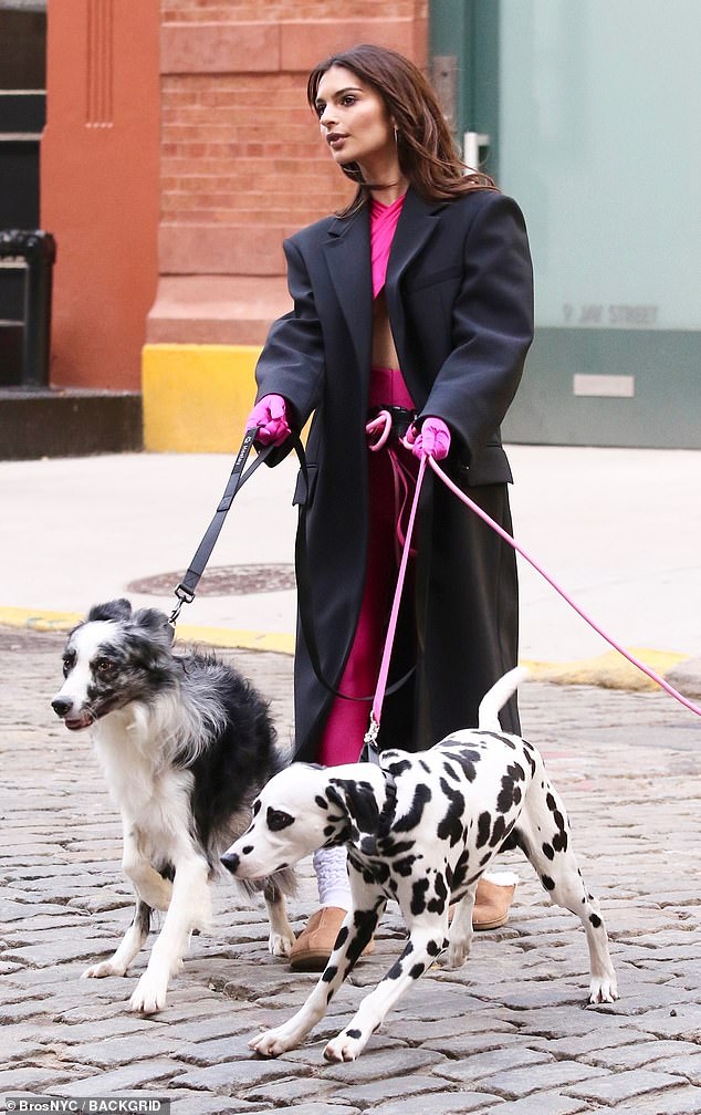 Emily Ratajkowski channeled Cruella de Vil from the movie 101 Dalmatians on Thursday.  The 32-year-old model was dressed in a bright pink outfit with a long black coat as she was pulled along by two dogs, one of which was a Dalmatian that Cruella lusted after in the Disney film.