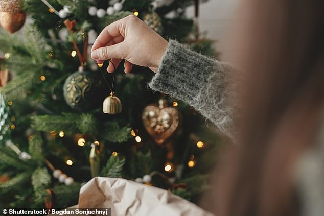 Sheffield-born Christmas tree expert and owner of Christmastrees.co.uk, Mark Rofe, revealed whether hairspray can prevent pine needles from falling from your Christmas tree (stock image)