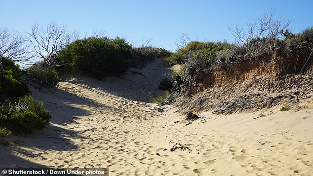It had long been rumored that the Kurnell Sand Dunes area was a dumping ground for bodies