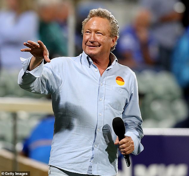 Mining magnate Andrew 'Twiggy' Forrest (pictured) has accused Facebook's parent company Meta of being criminally reckless by allowing false advertisements for a cryptocurrency investment scheme featuring his image to appear on his site.